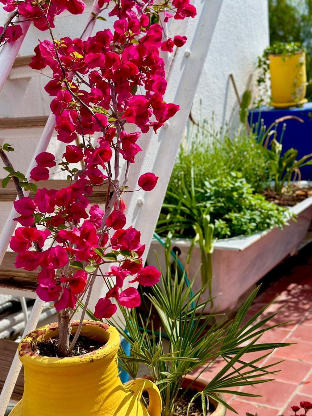 Nomads Hostel Tunisia Bagian luar foto
